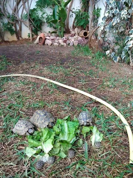 Etage De Villa Avec Jardin, Pres De L'Aireport Et Parking Prive Ariana