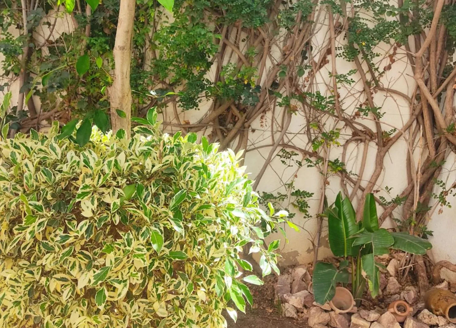 Etage De Villa Avec Jardin, Pres De L'Aireport Et Parking Prive Ariana