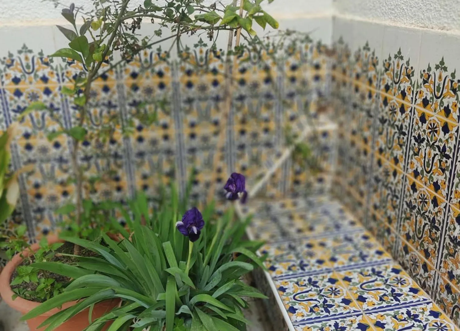 Etage De Villa Avec Jardin, Pres De L'Aireport Et Parking Prive Ariana